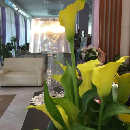 Sahara Hotel Milano Marittima